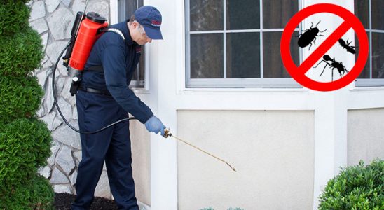 Karapınar Fare İlaçlama böcek ilaçlama ve haşere kontrolü — ilaclama-tr.com